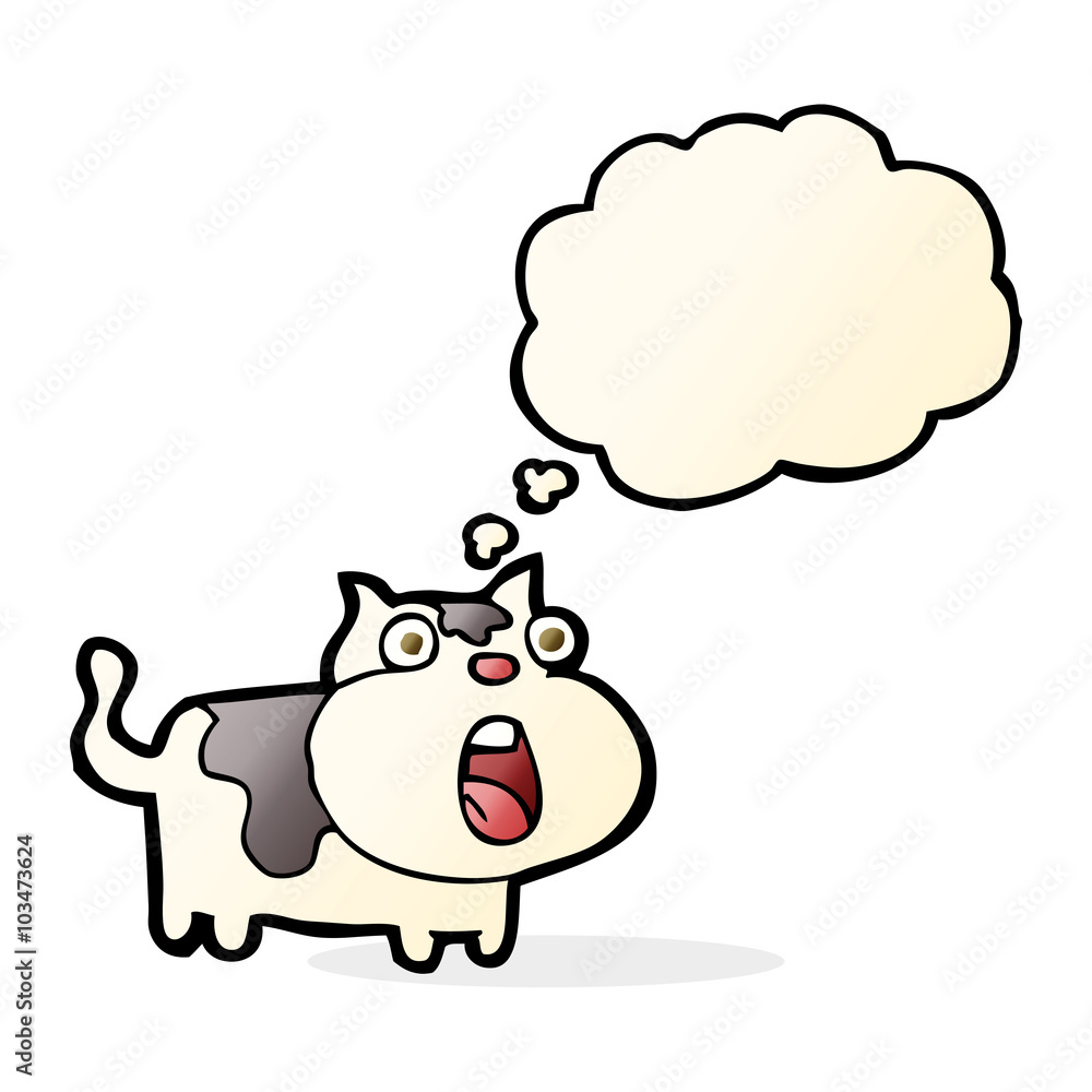 cartoon shocked cat with thought bubble cartoon shocked cat with thought bubble
