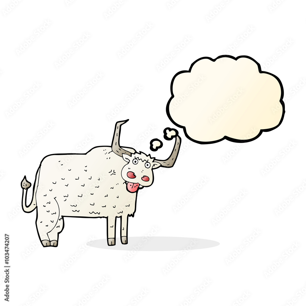 cartoon hairy cow with thought bubble cartoon hairy cow with thought bubble