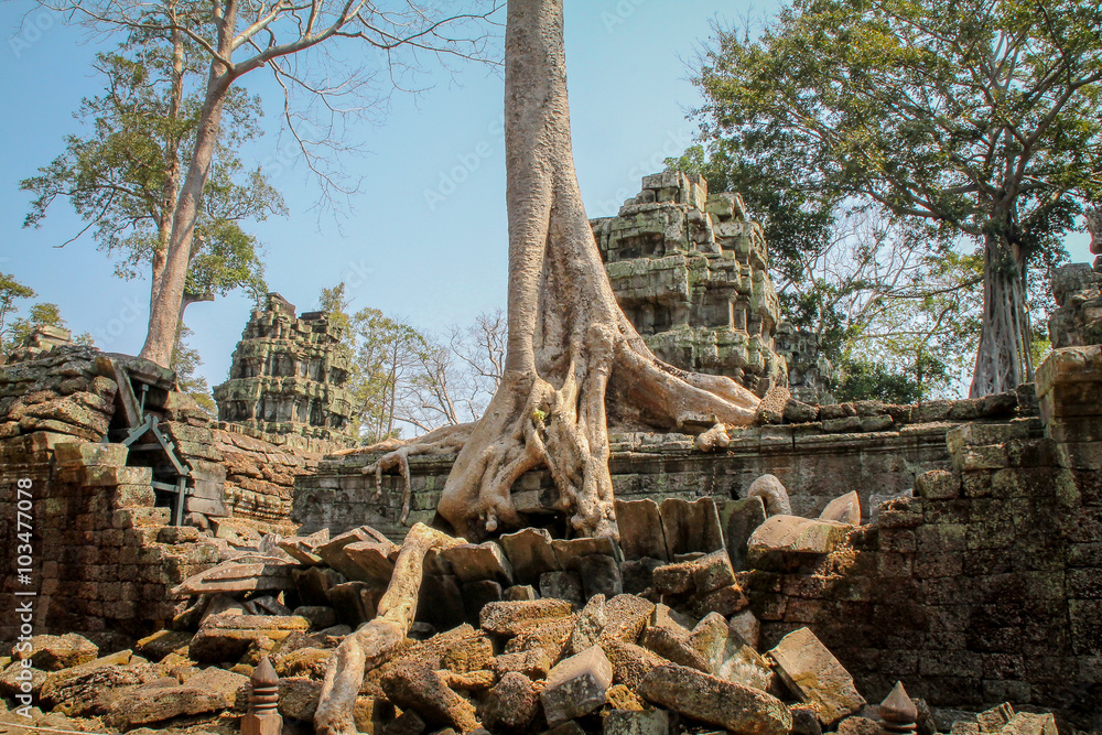 Landscape view of the temples at Angkor Wat, Siem Reap, Cambodia