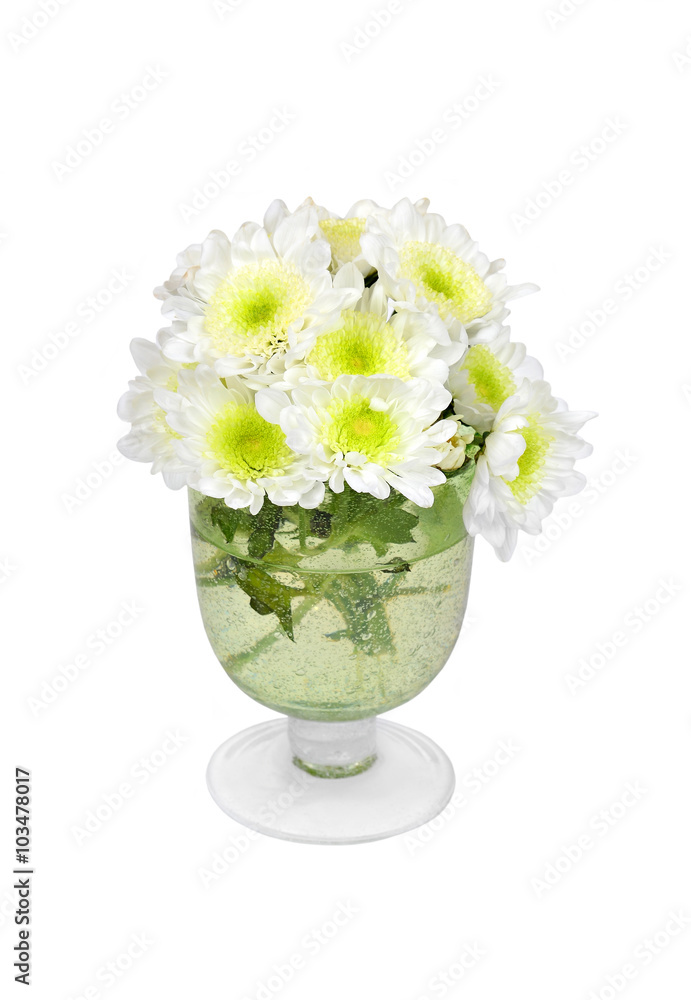 Naklejka premium White chrysanthemum in vase