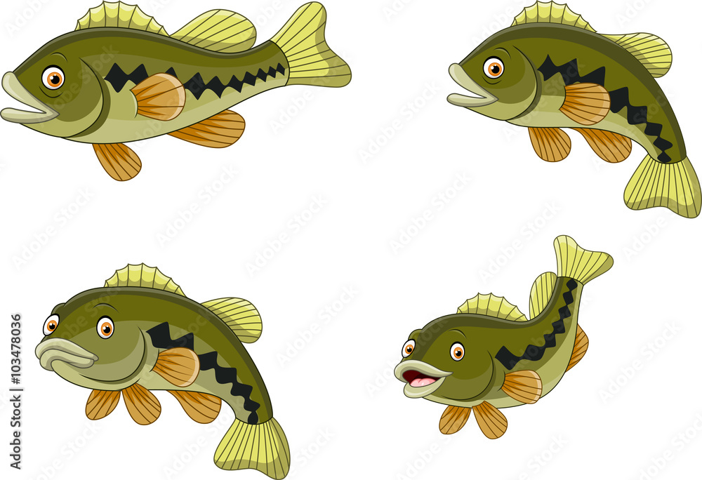 Obraz premium Cartoon funny bass fish collection