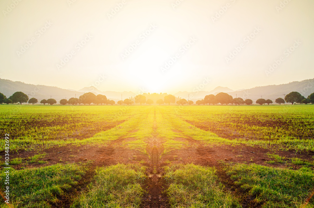sunset landscape farmland