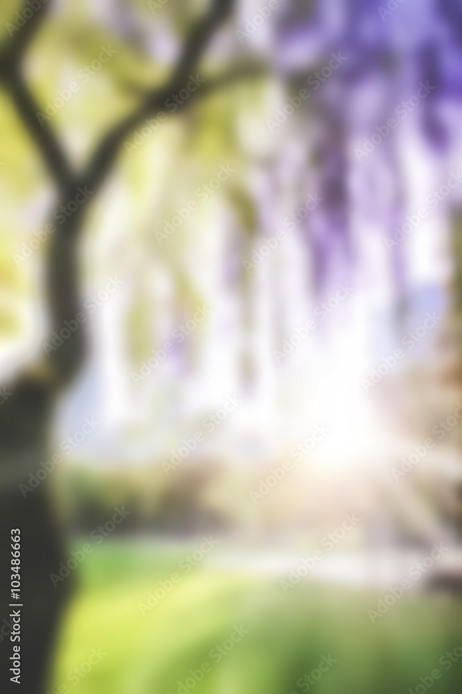Blur background sunlight at Central Park New York City , USA Stock Photo |  Adobe Stock