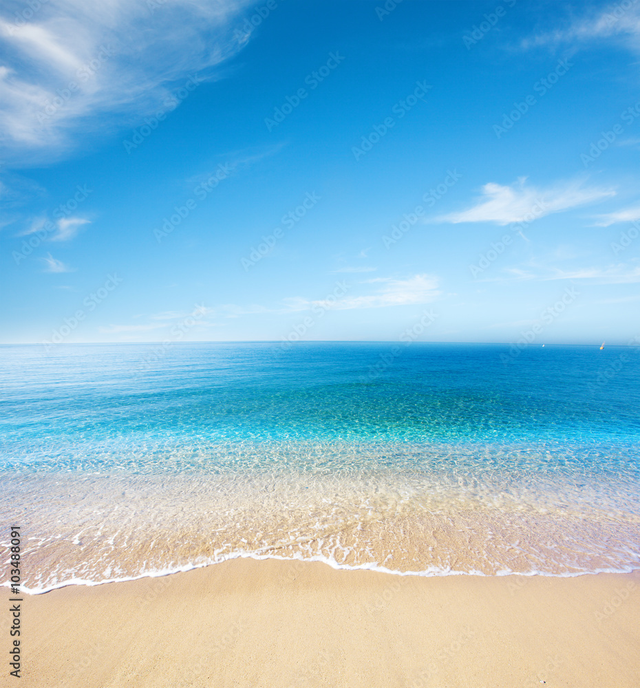Fototapeta premium beach and tropical sea