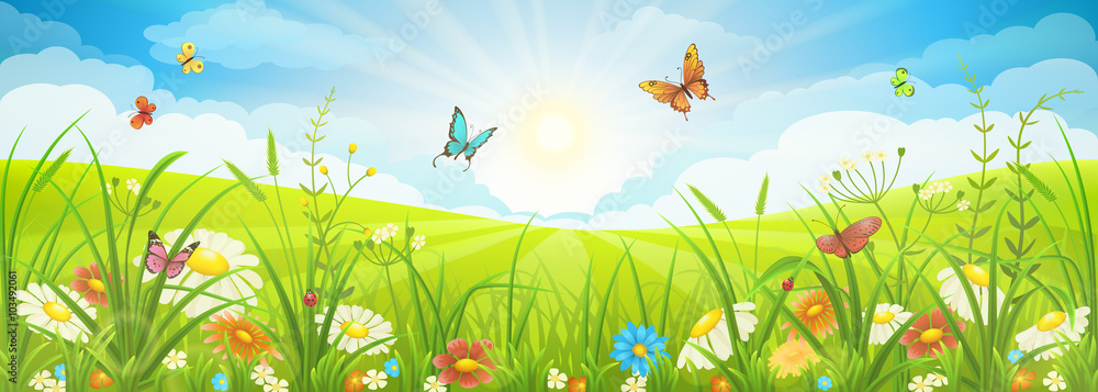 Naklejka premium Kwiecisty lato lub wiosna krajobraz, łąka z kwiatami, niebieskie niebo i motyle
