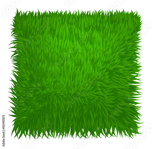 Green grass texture rectangle isolated on white. Vector illustra