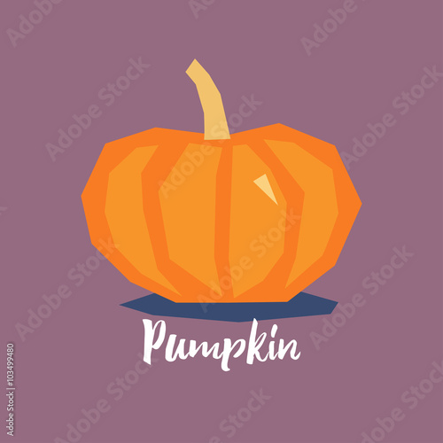 Fresh pumpkin cute vector icon / illustration