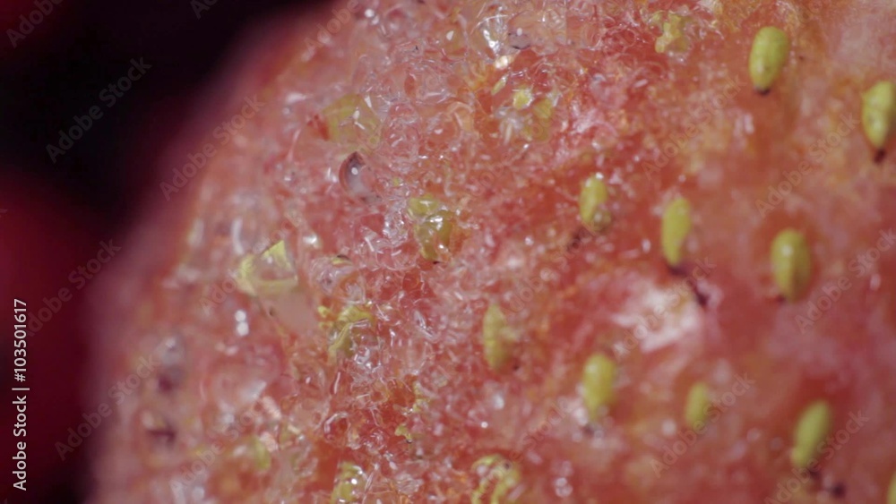 Close up of frozen strawberries
Close up of frozen strawberries