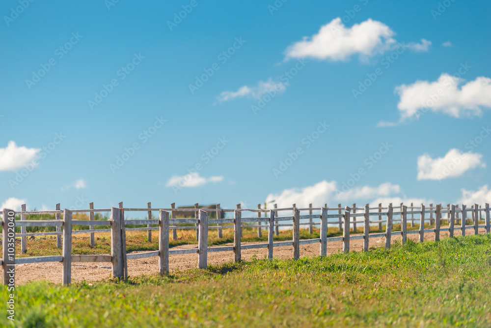 Fototapeta premium corral for walking of animals and green field