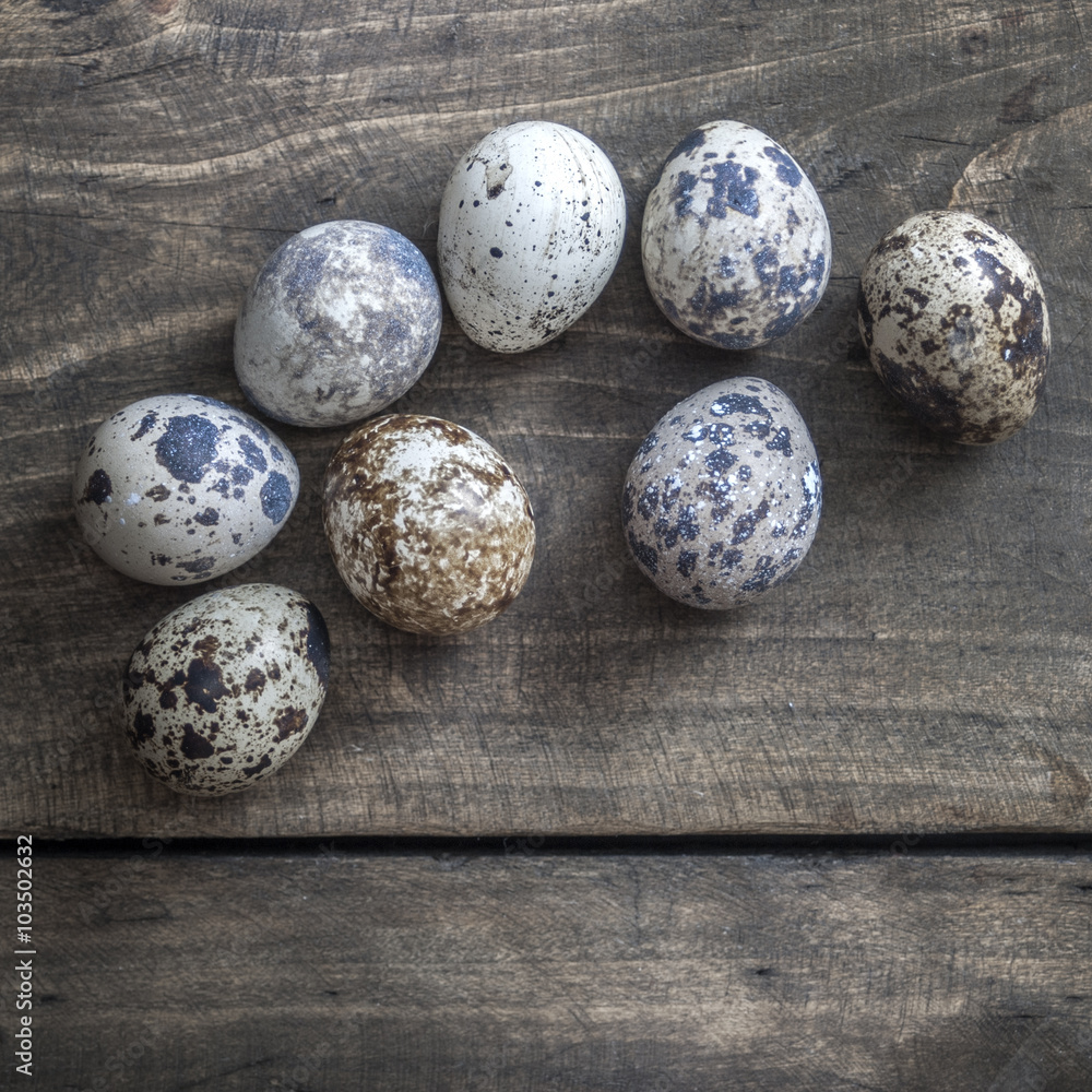 Obraz premium Quail eggs on the table
