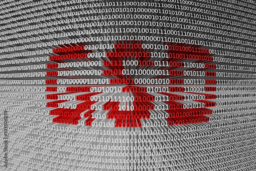GSD is presented in the form of binary code GSD is presented in the form of binary code