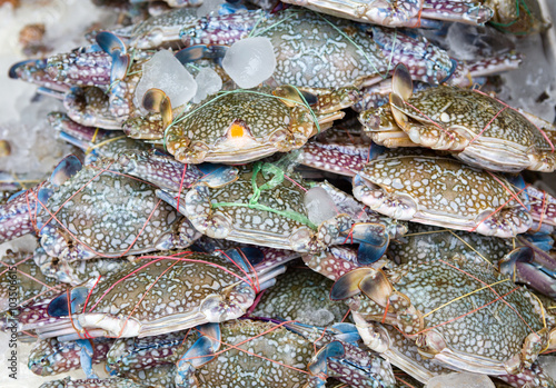 fresh blue craps in the ice, sea food in Thailand's market