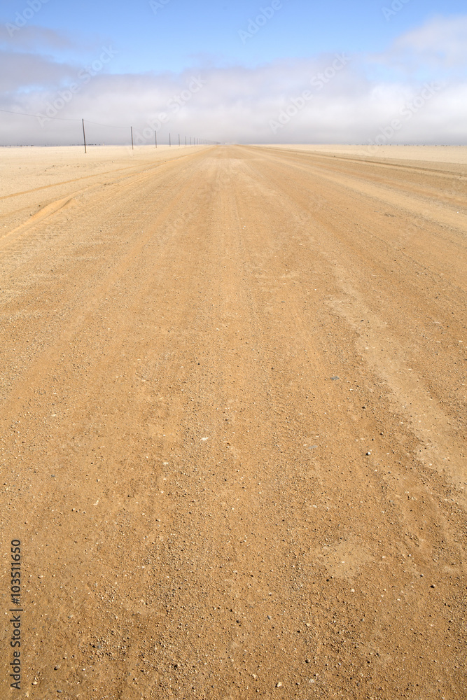 Naklejka premium Flamingo in the Walvis Bay wetland.