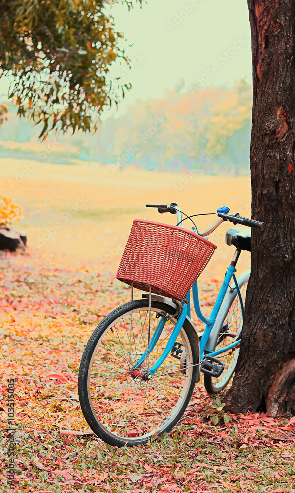 Bike for leisure travel. ( Focus at basket ) vintage retro tone