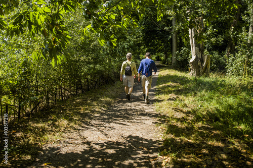 path public footpath photo