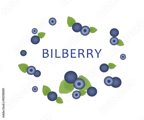 the blue bilberry