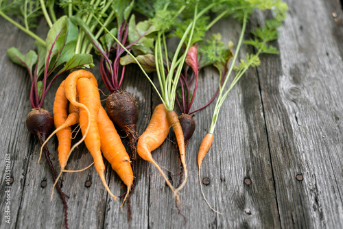 Ugly carrot and beetroot