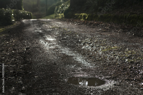 Fotografi Beautiful Spring countryside landscape with puddle at  road afte