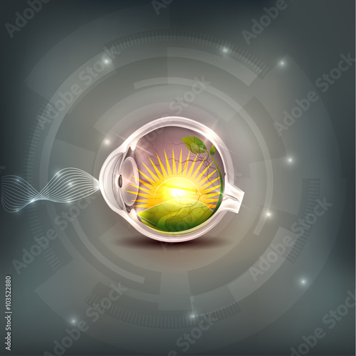 Abstract eye anatomy, human sight. Sun and fields inside the eye. Beautiful grey mesh background with lights.