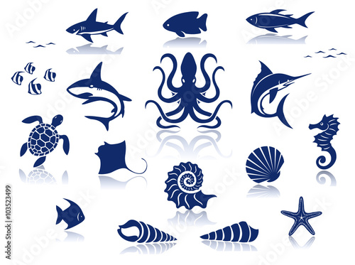 Marine life icon set. Isolated against a white background with reflections