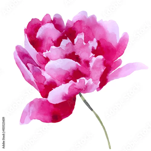 Naklejka na ścianę akwarela ilustracja na białym tle