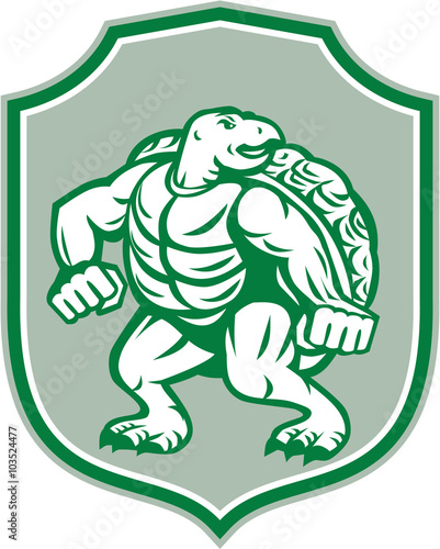 Green Turtle Fighter Mascot Shield Retro