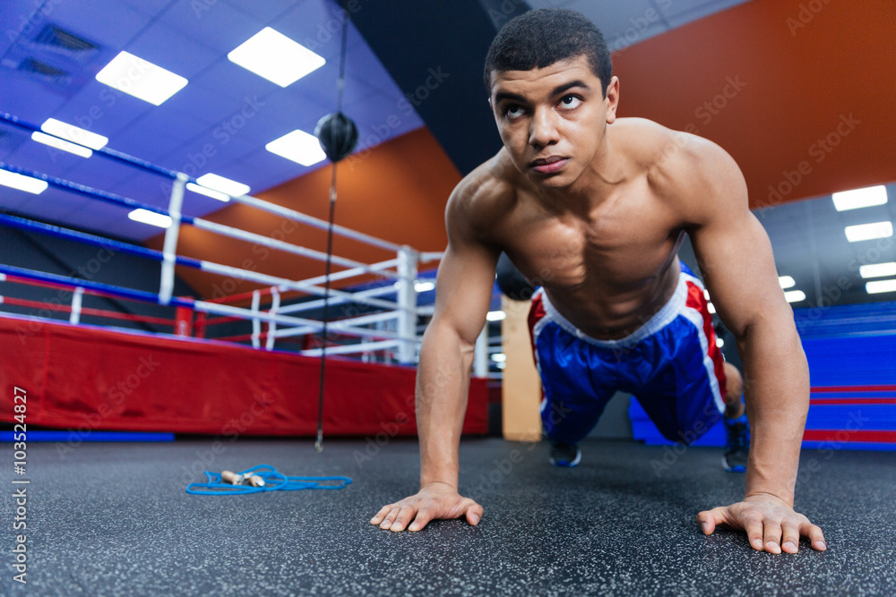 Boxer doing push ups Boxer doing push ups
