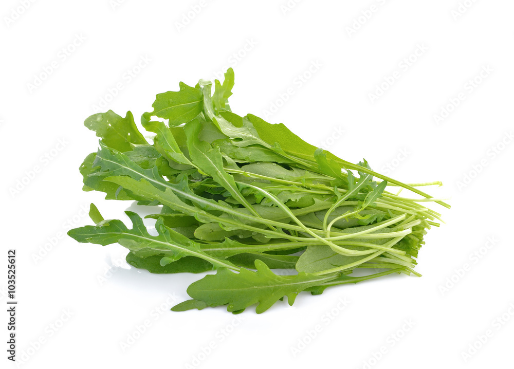 rocket lettuce leaves or sweet rucola salad isolated on white b rocket lettuce leaves or sweet rucola salad isolated on white b