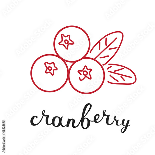 Cranberry and hand writing lettering name 