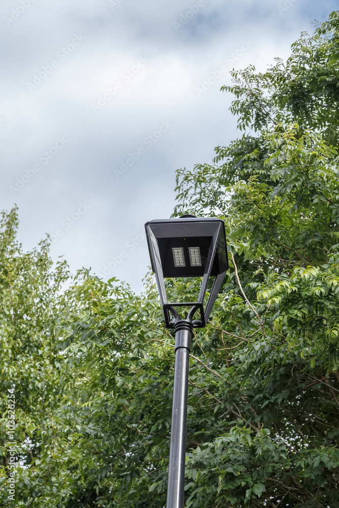 Modern street lamp against the trees. Belfast, Northern Ireland Modern street lamp against the trees. Belfast, Northern Ireland