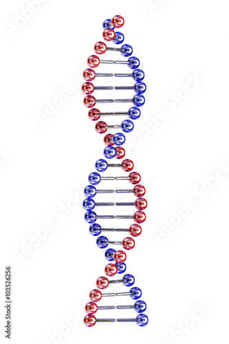3d Dna isolated on white background.