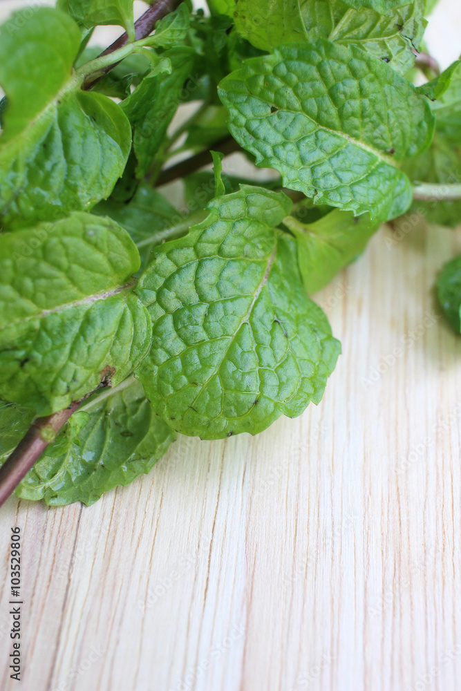 Fototapeta premium Pepper mint leaves