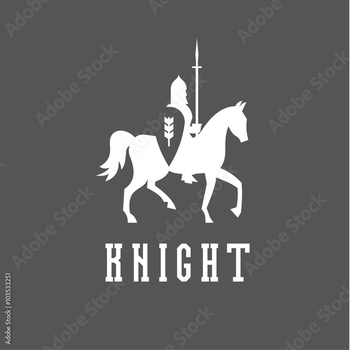 Knight on horseback with a chain mail armor, helmet, shield, spear vector ilustratsiya.