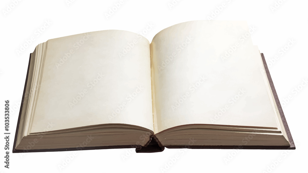 blank open book blank open book