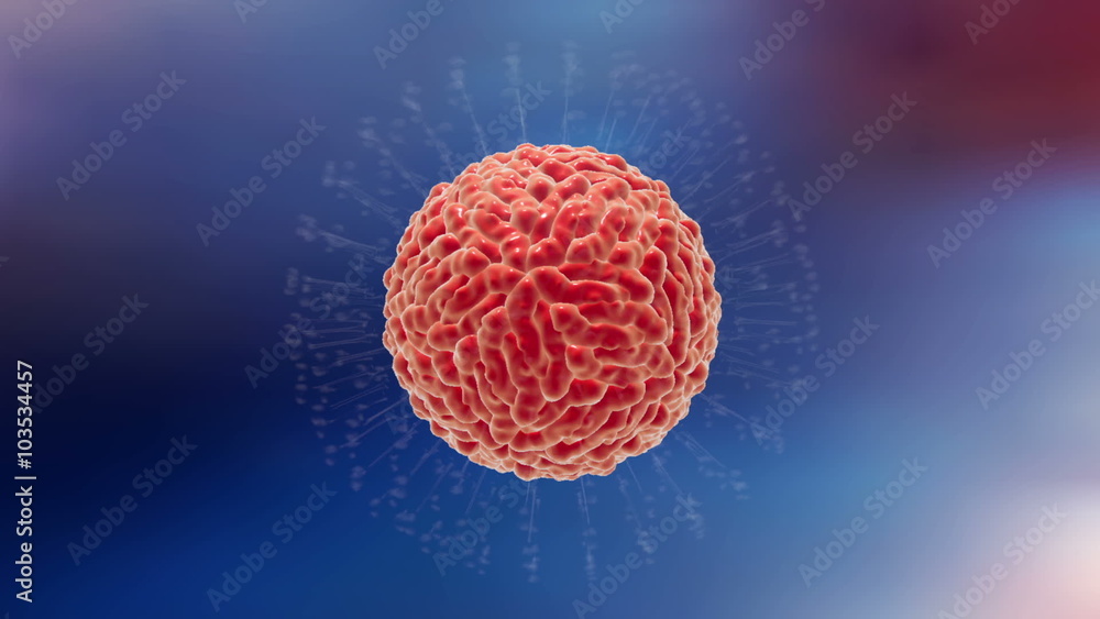 Structure of Zika virus. An animation shows presence of outer envelope with glycoprotein spikes (white) surrounding protein capsid (red) with RNA. Zika virus causes Zika fever Structure of Zika virus. An animation shows presence of outer envelope with glycoprotein spikes (white) surrounding protein capsid (red) with RNA. Zika virus causes Zika fever