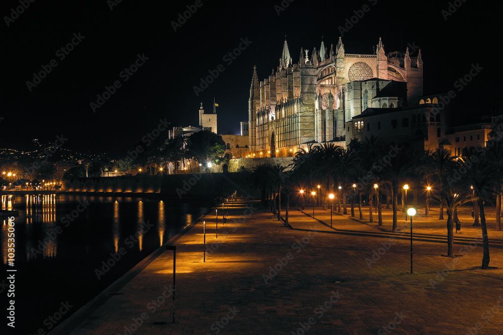 La Seu, Catedral de Palma de Mallorca por la noche, Parc de la Mar, palmeras y farolas 