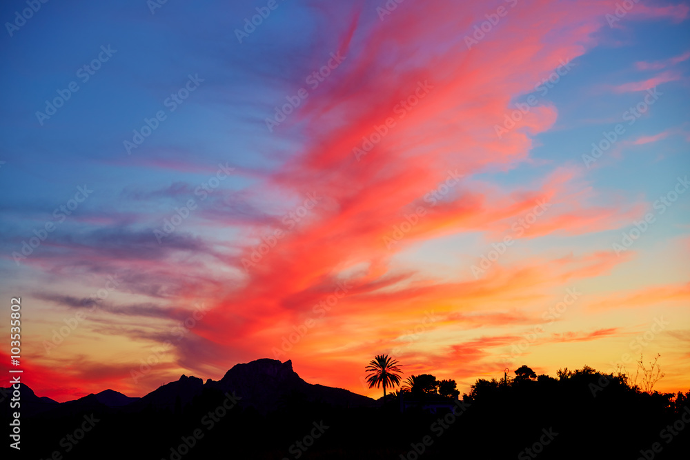 Denia sunset sky with palm trees and mountains Denia sunset sky with palm trees and mountains