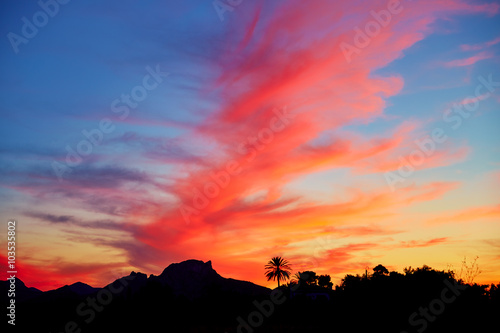 Denia sunset sky with palm trees and mountains