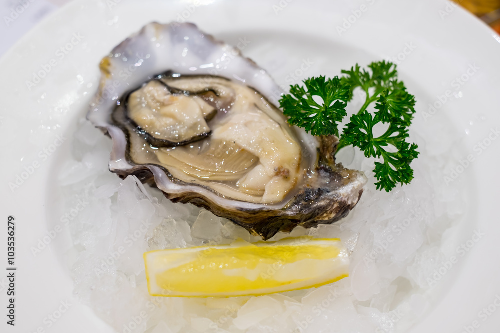 Oysters with lemon and on plate with ice Oysters with lemon and on plate with ice