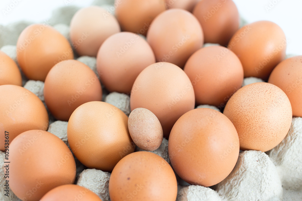 Eggs in tray on white background Eggs in tray on white background