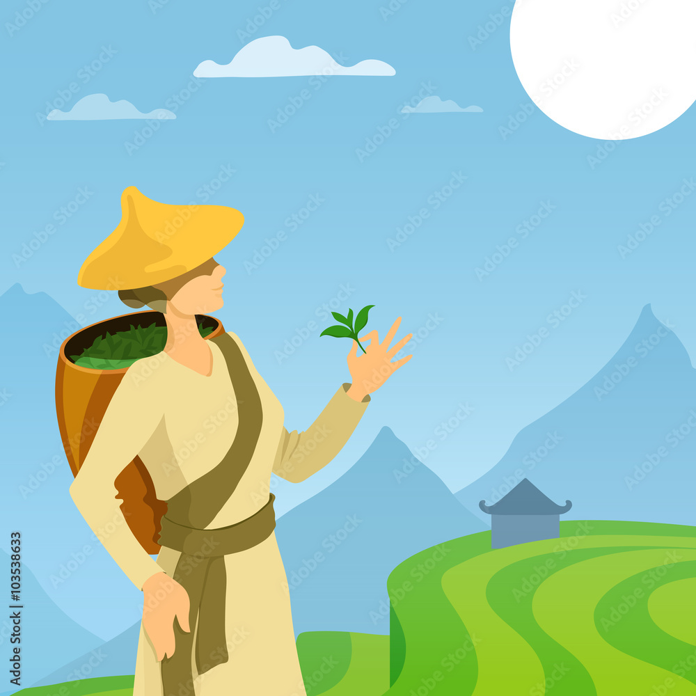 Tea picker woman cartoon illustration. Asian tea farmer vector ...