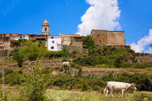 El Boixar village in Tinenca Benifassa of Spain photo