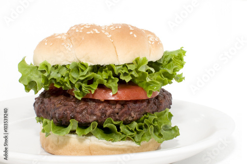 Tasty Burger, close up