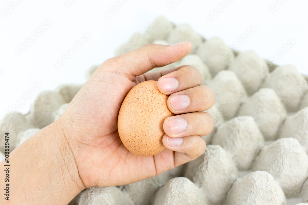 Eggs in tray on white background Eggs in tray on white background
