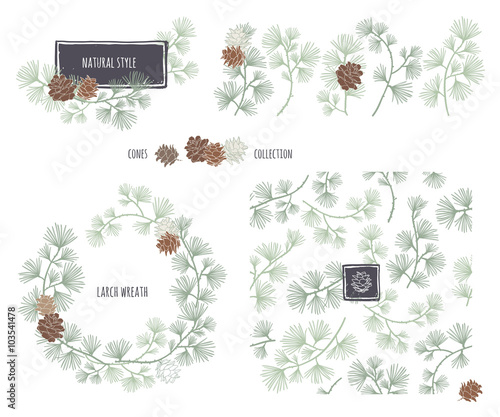 Collection of decorative cones. Coniferous seamless pattern.