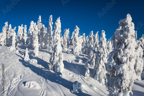 Beautiful cold mountain view of ski resort, sunny winter day with slope, piste and ski lift photo