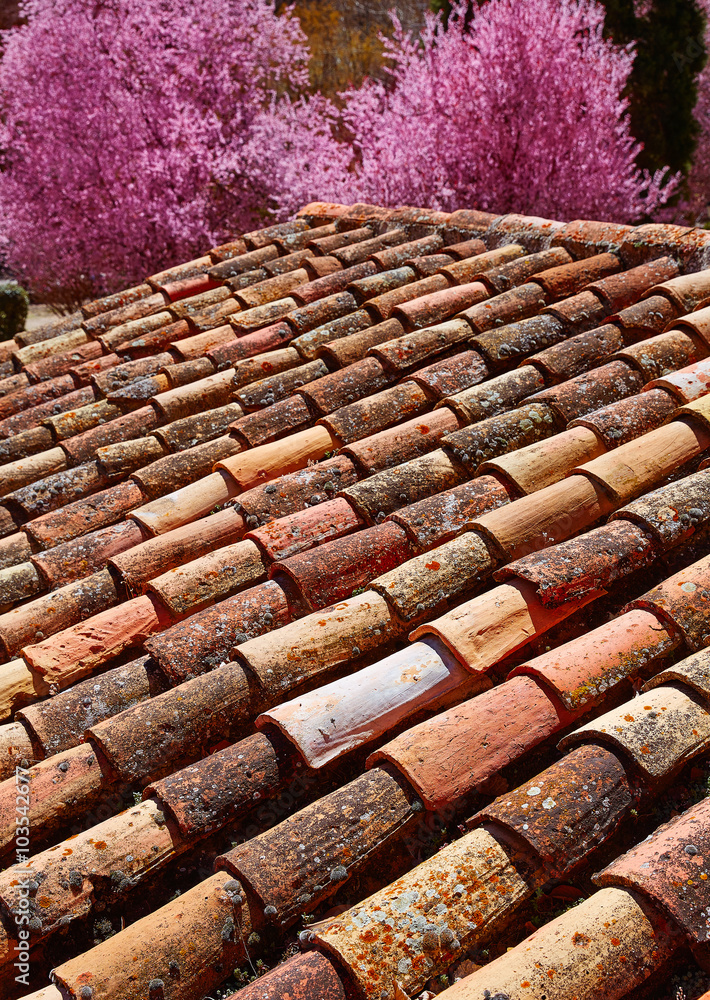 Arabic roof tiles pattern texture in Teruel Spain Arabic roof tiles pattern texture in Teruel Spain