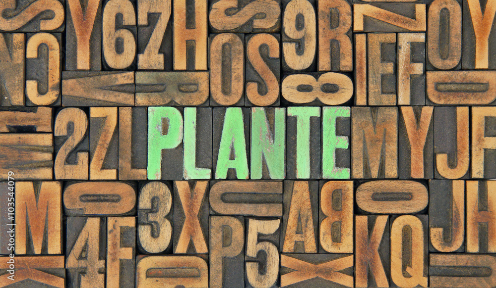 Plante / caracteres d'imprimerie en bois Plante / caracteres d'imprimerie en bois