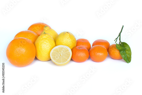 Group of citrus fruits on white background