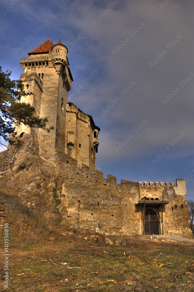 Fototapeta premium Burg Liechtenstein